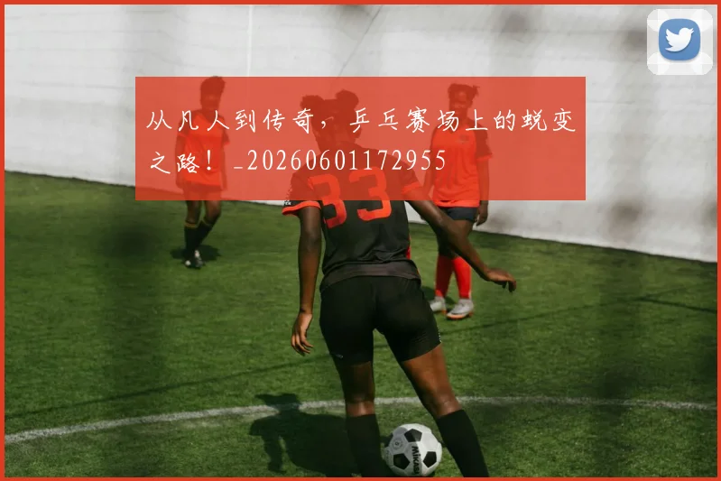 从凡人到传奇，乒乓赛场上的蜕变之路！_20260601172955